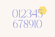 Assignate - Elegant Display Serif, a Script Font by RockboyStd (Thumbnail 10 of 12)