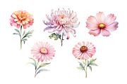 Watercolor Flowers Clipart PNG Set., a Decorative Illustration by kaisorn (Thumbnail 2 of 5)