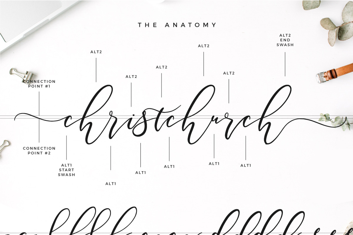 Southfield Typeface, a Script Font by Mats-Peter Forss (Photo 11 of 12)