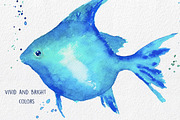 Underwater Life ClipArt Watercolor, an Animal Illustration by MaraquelaStudio (Thumbnail 5 of 6)