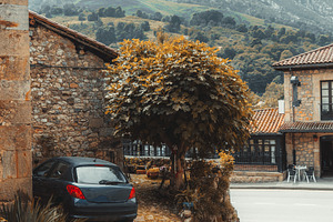 Village street near misty mountains, an Architecture Photo by SkyNext