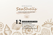 Seashells design. Natural logos, a Decorative Illustration by WalnutBird (Thumbnail 1 of 6)
