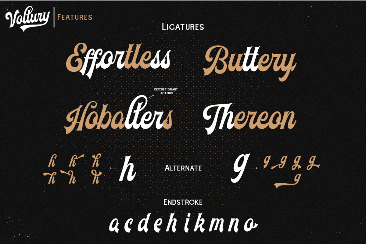 Voltury Vintage Script (with extras) preview 5