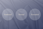 Cartes, a Serif Font by insigne (Thumbnail 4 of 5)