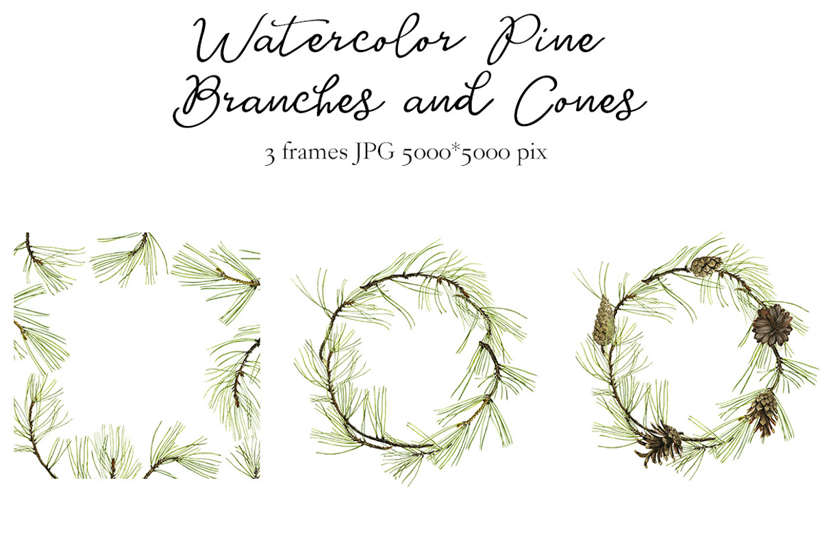 Watercolor Pine Branches and Cones, a Decorative Illustration by cat_arch_angel (Photo 5 of 5)