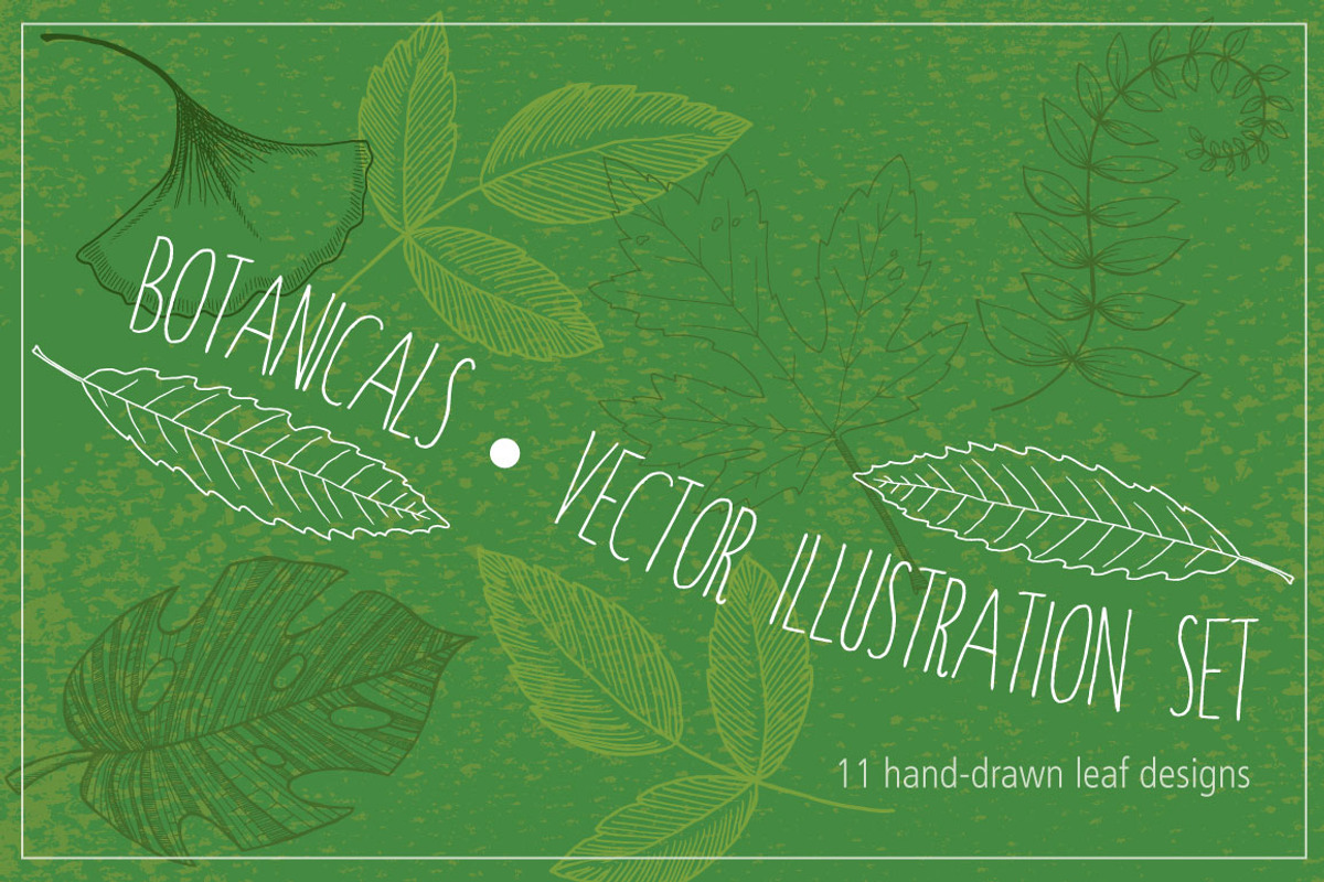 Botanical Leaves Hand-Drawn Vectors, an Object Graphic by MyNatureGraphics (Photo 1 of 2)