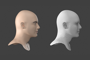 Natural Male Head 02 Generic Mesh