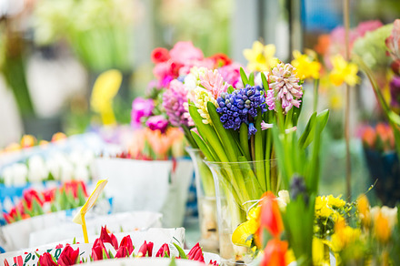 Flowers shop stock photo containing flowers and flowers bouquet, a Nature Photo by Elena Azzalini