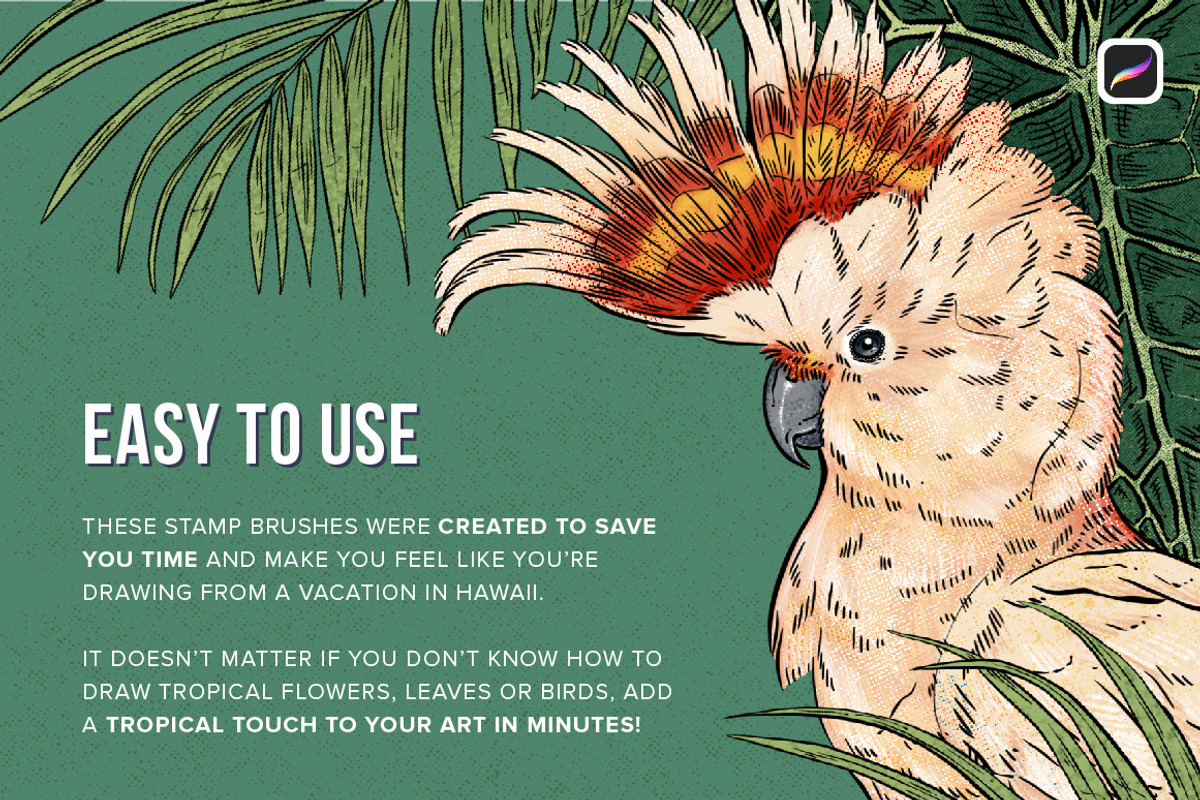 Tropical Stamp Brushes for Procreate, a Brush Add-On by Riveros Illustration (Photo 8 of 14)
