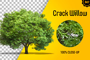 CUT OUT TREES - 60 PCS BUNDLE, a Packaging Mockup by 3DSTORE (Thumbnail 48 of 63)