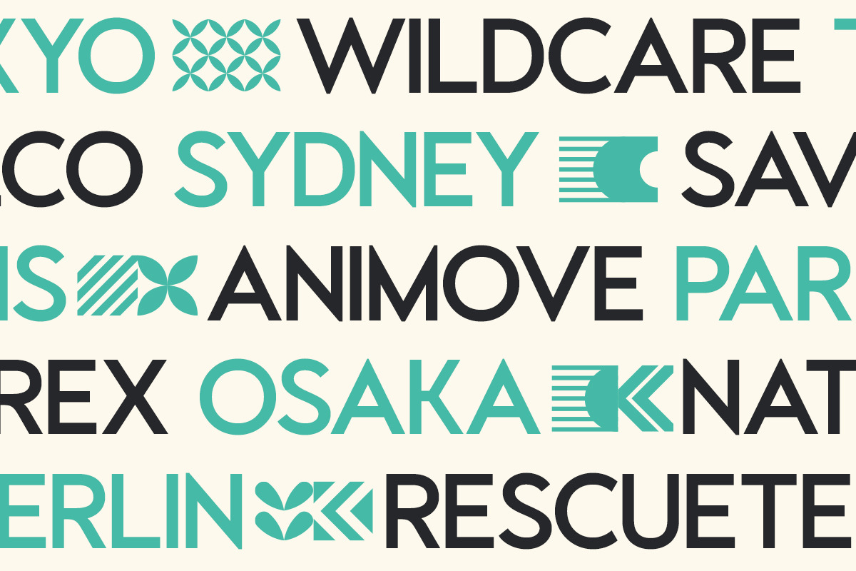 GC Codex – A Neo-Sans with Clarity, a Sans Serif Font by Glyphonic (Photo 6 of 15)
