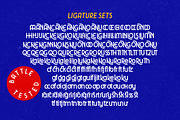 Tawakkal Sans, a Sans Serif Font by Twicolabs Fontdation (Thumbnail 9 of 9)