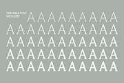 West and Olives (6 fonts + variable), a Font by The Old Type Foundry (Thumbnail 10 of 12)