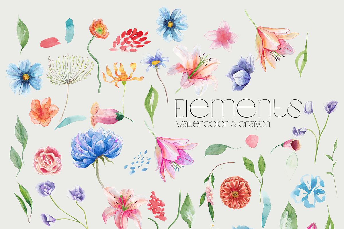 Meadow florals & abstract line art, an Illustration by January Bloom (Photo 7 of 11)