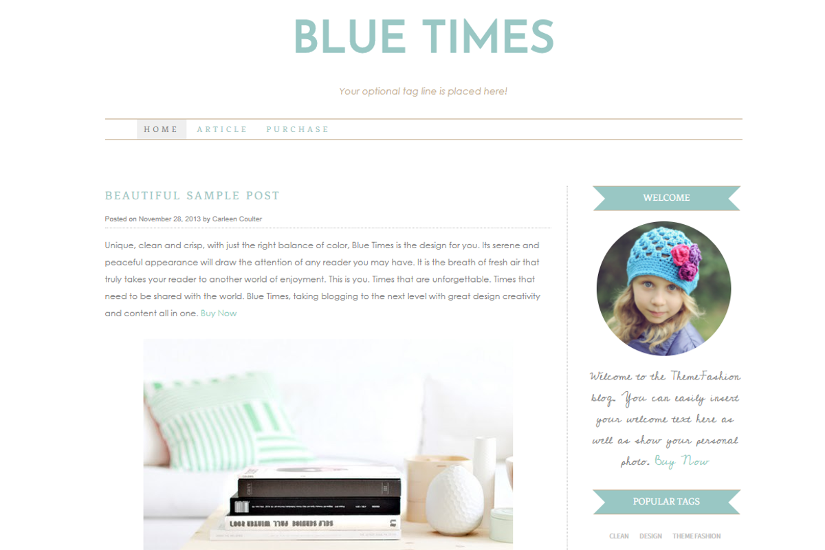 Wordpress Template - Blue Times, a WordPress Template by Theme Fashion (Photo 1 of 2)
