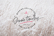 Janetta Rossie | SVG+font duo extra, a Script Font by MLKWSN (Thumbnail 8 of 17)
