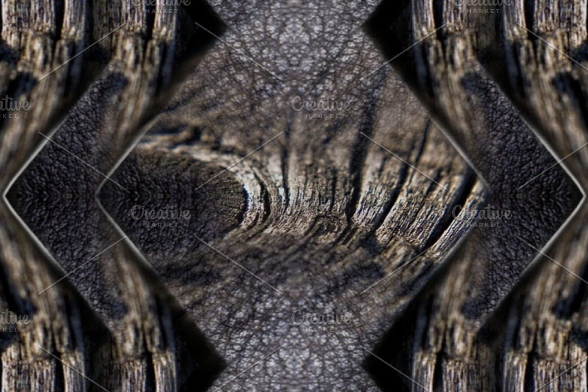 Texture of trees, a Poster Template by The black alabaster
