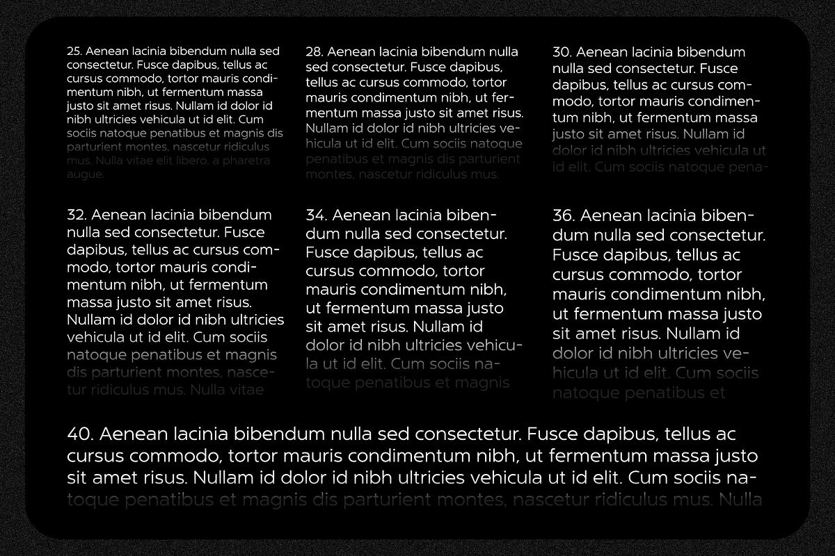 NT Marley, a Sans Serif Font by nevsky.type (Photo 12 of 14)