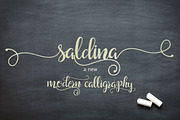 Saldina Script, a Script Font by vanroem (Thumbnail 12 of 13)