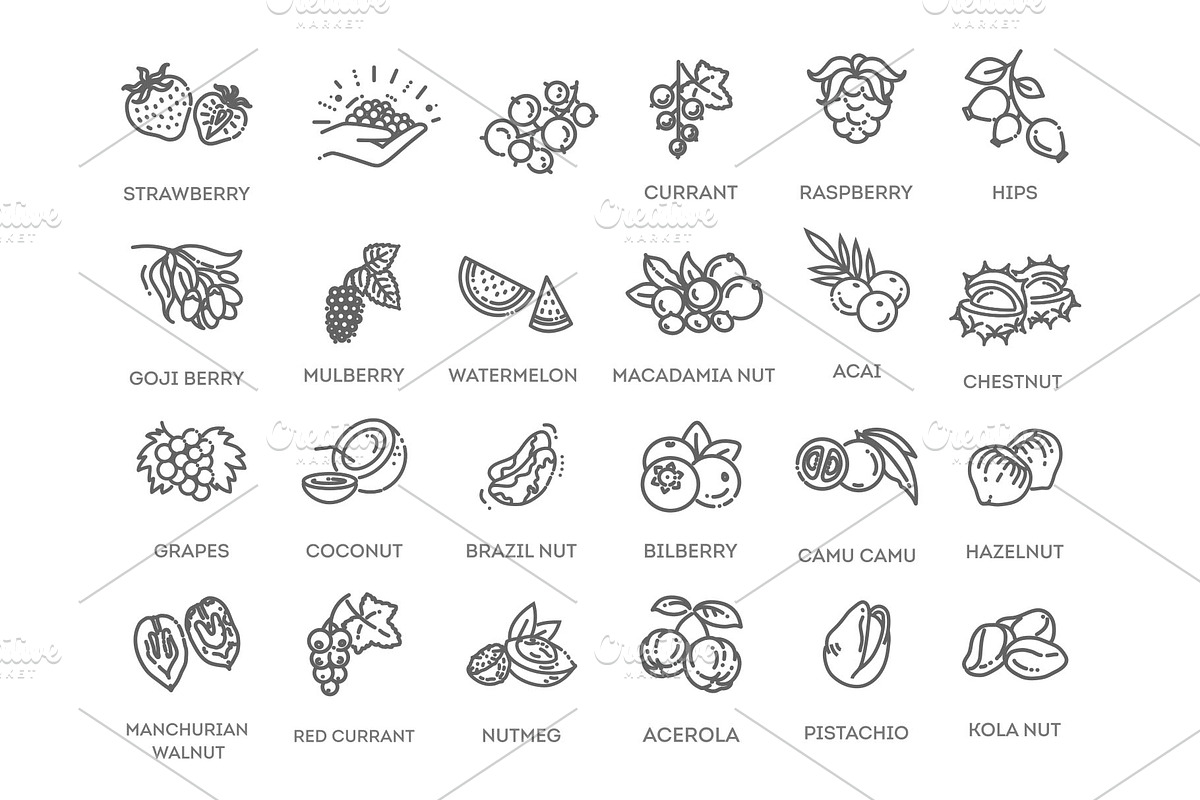 Nuts and Berries icons, a Food Illustration by Tettygreen (Photo 2 of 3)