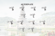 Wonderful | Script Font, a Handwritten Font by Scratchones (Thumbnail 8 of 9)