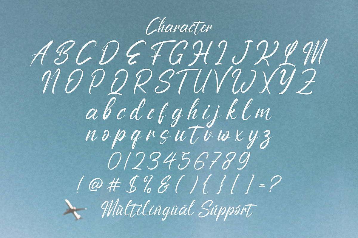 Anthony Louis - Modern Script Font, a Script Font by StringLabs (Photo 10 of 11)