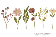 Watercolor Wild Flower Clipart, a Decorative Illustration by Murphy & Frank (Thumbnail 6 of 9)