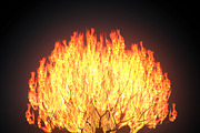 Burning bush, an Environmental 3D Model by AndrewWhite (Thumbnail 9 of 9)