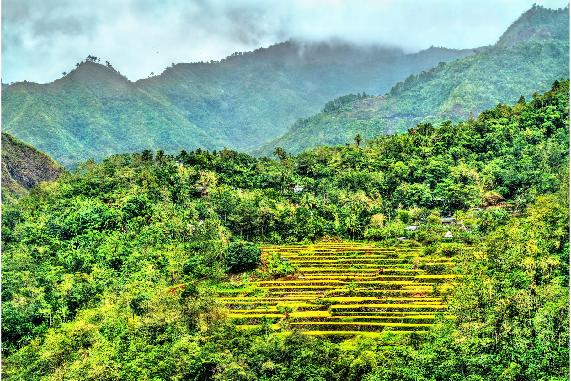 Mayoyao rice terraces unesco world featuring philippines, rice, and ...