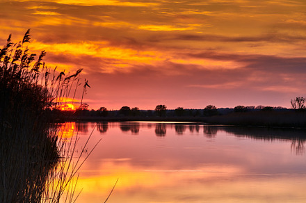 evening reflections in the river Ryck with pink clouds, a Nature Photo by Fotowunsch - photography 