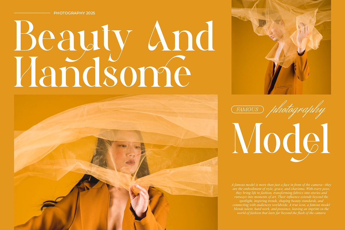 Trafise || Modern Serif Font, a Serif Font by Idea Studio (Photo 8 of 10)