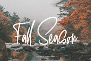Sailing & Wishes Script Font, a Script Font by Salt & Pepper Designs (Thumbnail 3 of 10)