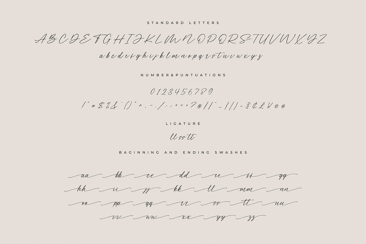 Miarlem - A Modern Calligraphy Font, a Script Font by Pen Culture (Photo 9 of 10)