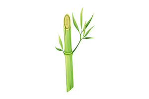 Bamboo green stalk, icon. Stem, an Object Illustration by Things for designers