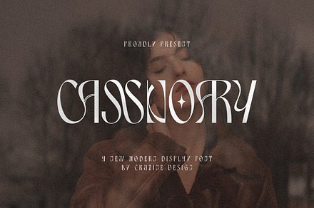 Cassnoary Modern Font, a Font by Cruzine