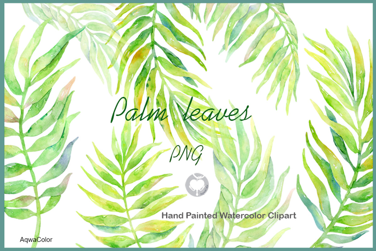 Watercolour clipart Palm Leaves, an Illustration by AqwaColor (Photo 1 of 3)