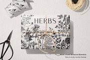 25 Medicinal Herbs Vector Collection, a Healthcare Illustration by Yevheniia (Thumbnail 6 of 11)