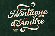 Arlington League -Sport Font Duo, a Script Font by Fenotype (Thumbnail 12 of 15)