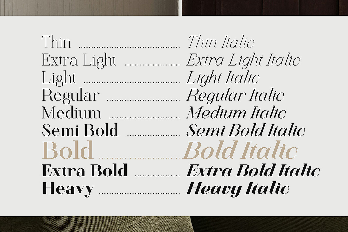 Finico Serif – High-Contrast Serif, a Serif Font by FactoryType Studio (Photo 2 of 11)