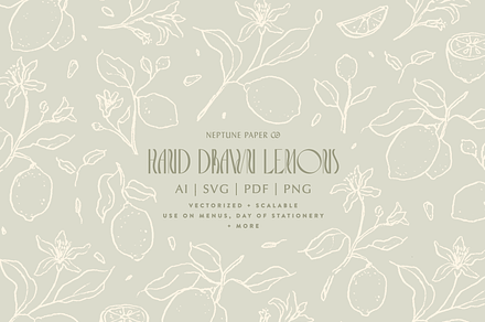 Hand Drawn Lemons