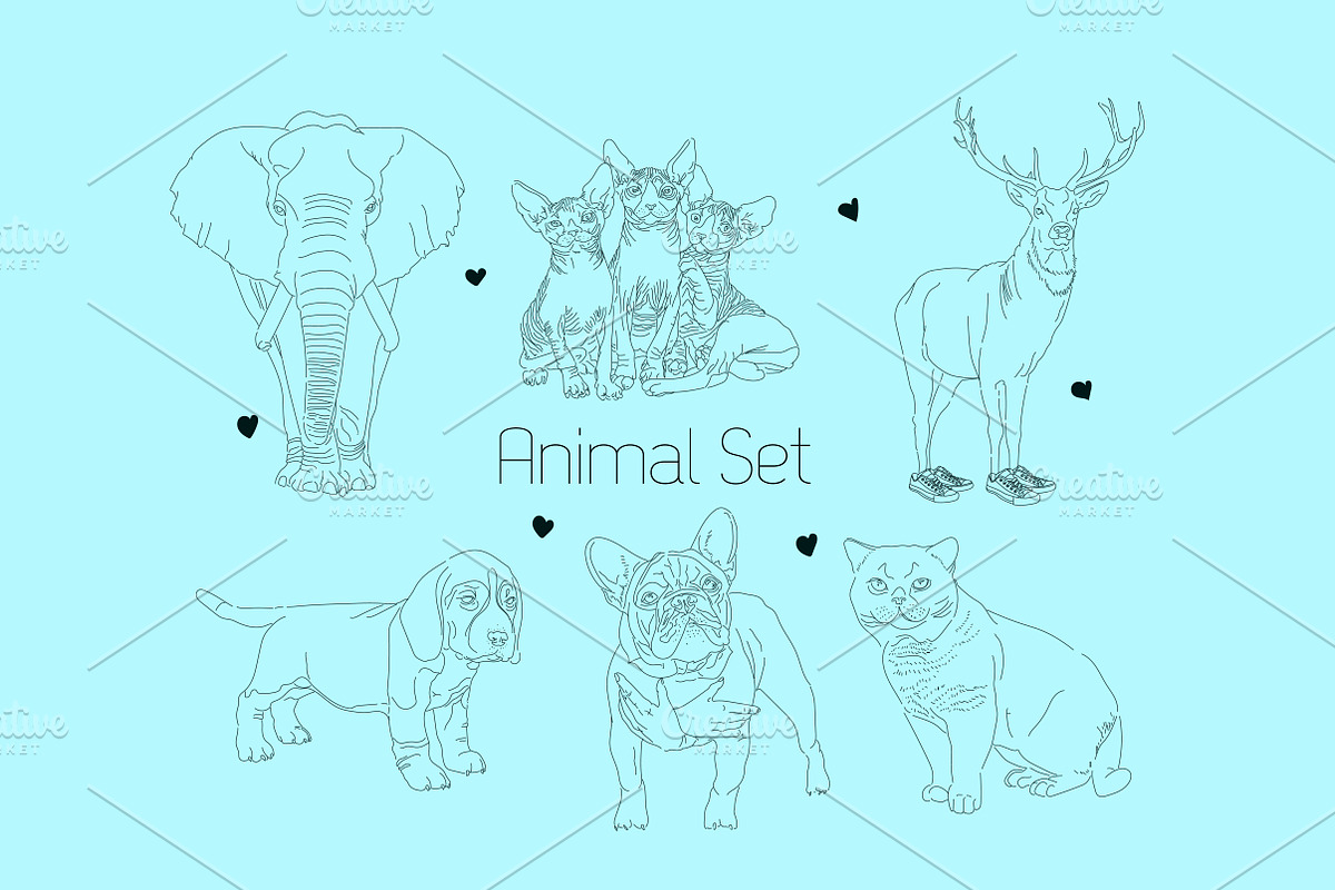 Animals set, an Animal Illustration by 2D/3D