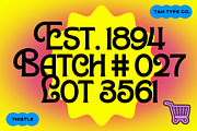 TAN-THISTLE-A DISPLAY FONT, a Slab Serif Font by TanType (Thumbnail 8 of 10)