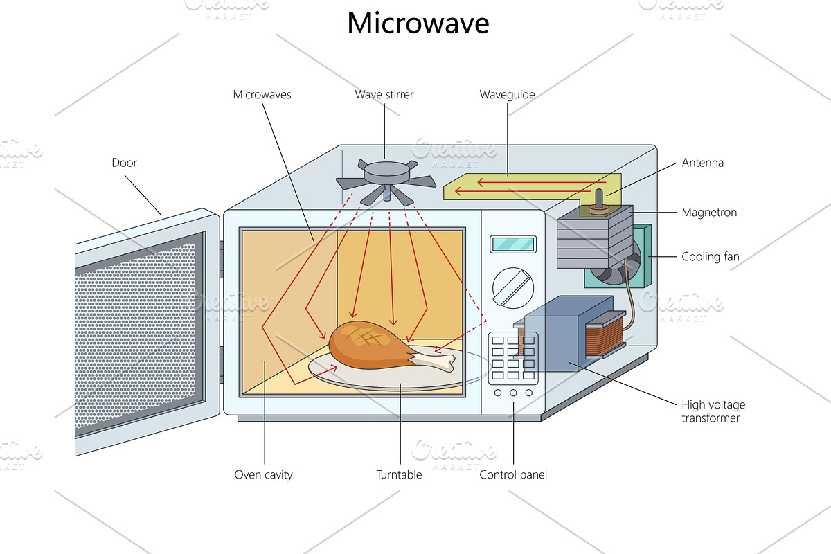 Microwave Oven Components structure, an Object Illustration by AlexArt