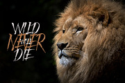 Mad Faith - Brush Font, a Font by Youthlabs Studio (Thumbnail 8 of 14)