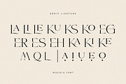 Regiola Font Duo, a Serif Font by Lucky Type (Thumbnail 13 of 14)