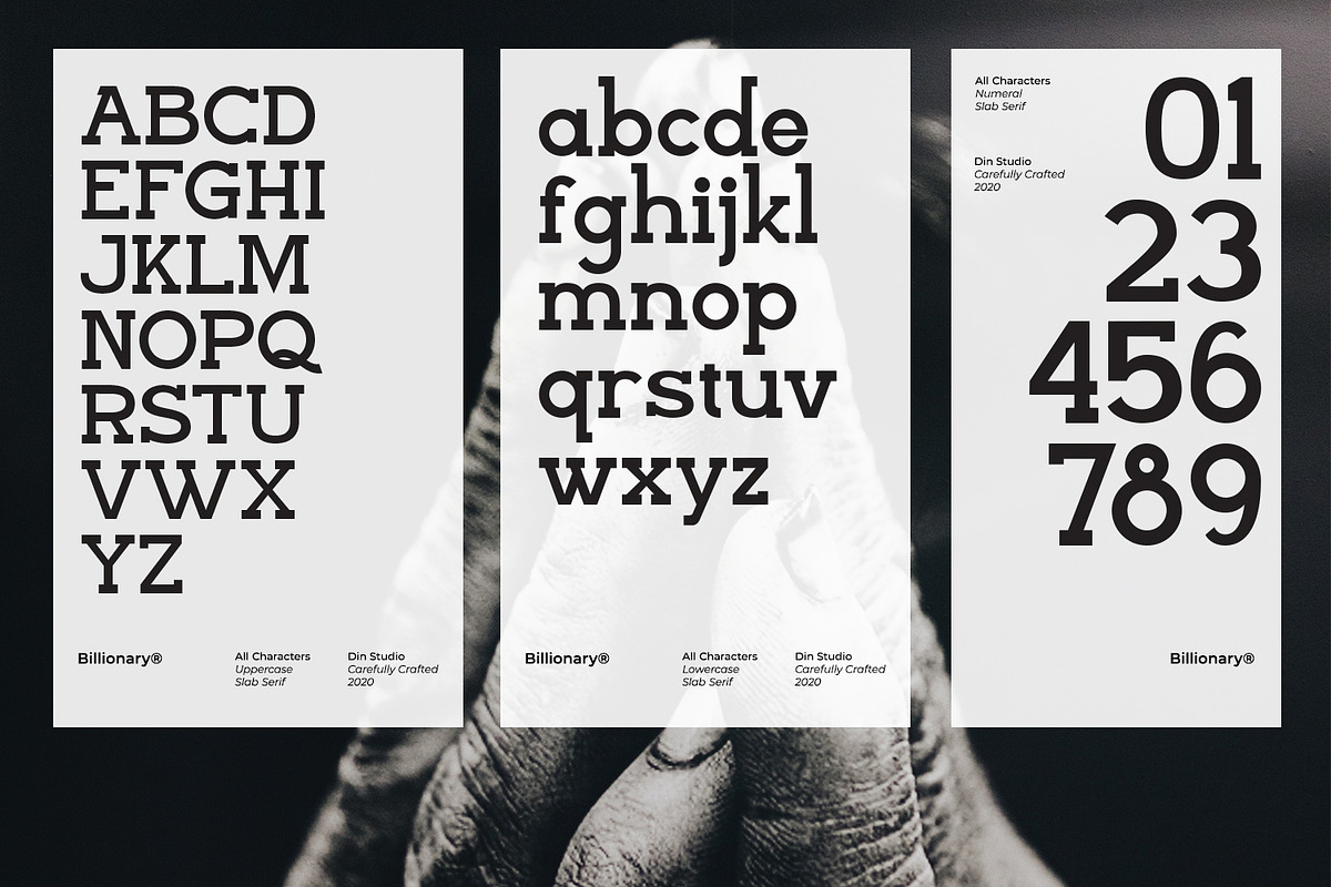 Billionary, a Slab Serif Font by din-studio.com (Photo 4 of 11)
