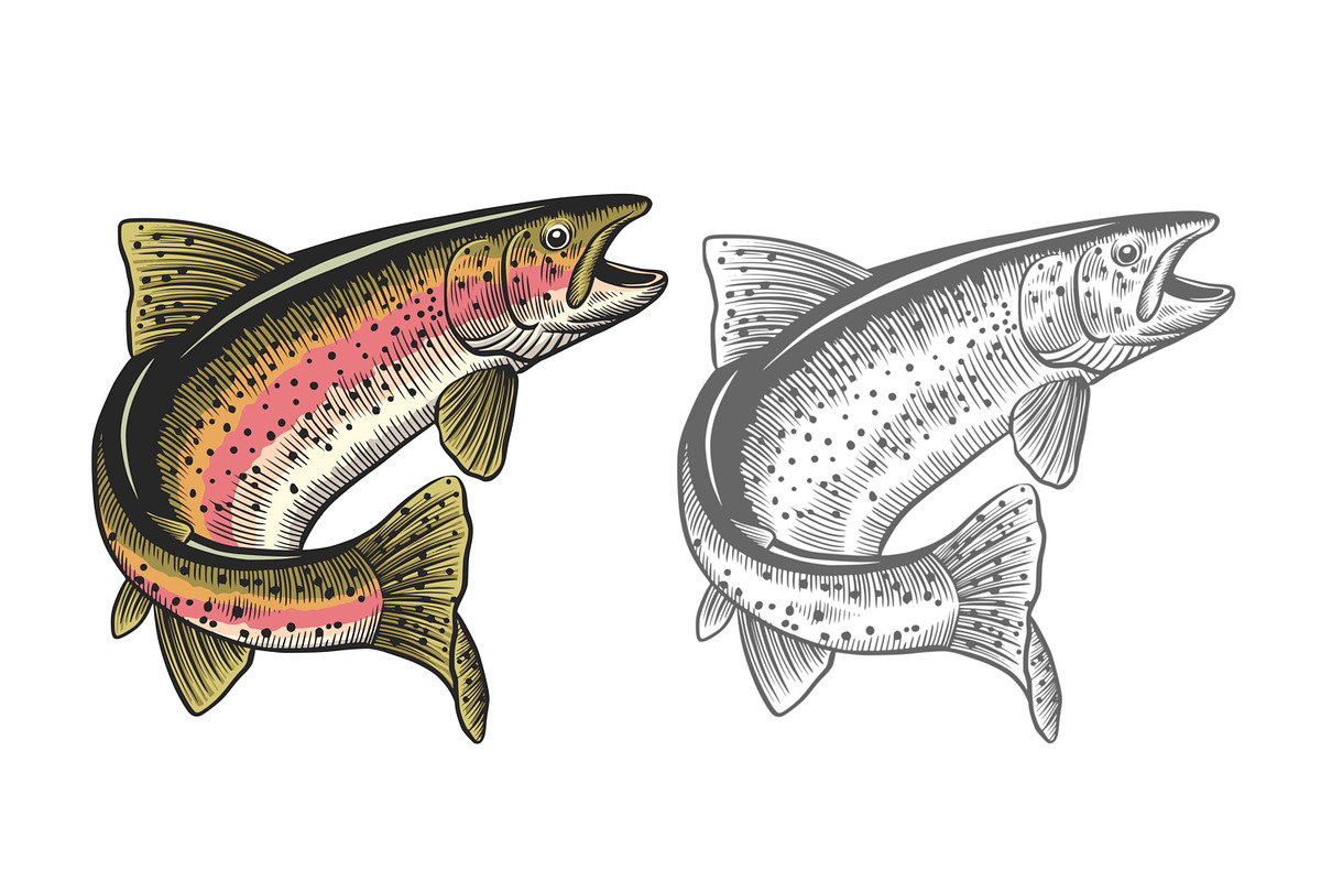 Vintage Trout Vector Art, an Animal Illustration by Kusumaillustration (Photo 3 of 4)