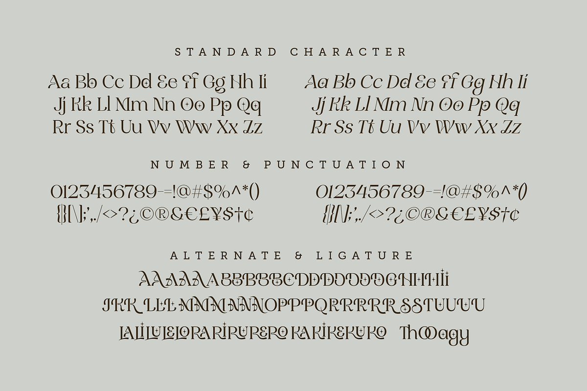 Nolans - Luxury Serif Typeface, a Serif Font by Annivers Type (Photo 8 of 10)