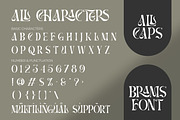 BRAMS - Display Serif (UPDATED!), a Serif Font by ErgibiStudio (Thumbnail 10 of 11)