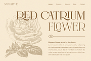 Castre - Serif Font Family (Updated), a Serif Font by Nathatype (Thumbnail 3 of 13)